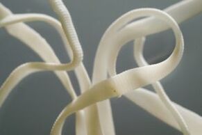 Helminths σε ενήλικες