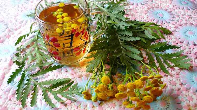 Το έγχυμα tansy θα βοηθήσει στην αποβολή των παρασίτων από το σώμα